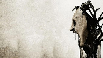 #4 Fear Clinic