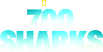 700 Sharks logo