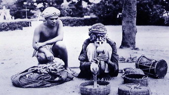 Sabaka (1954)