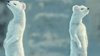 Episode 6 — Episode 6