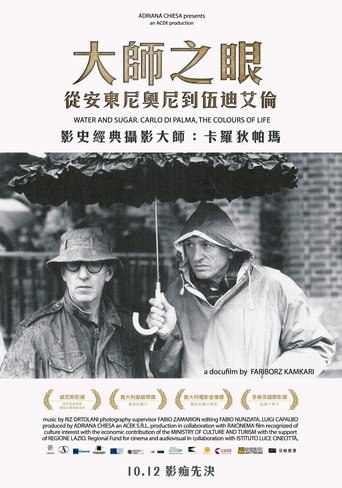 水与糖:摄影家卡洛·迪·帕尔马的生活与色彩