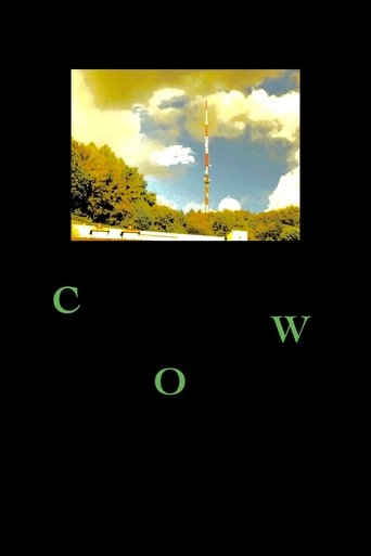 Cow poster
