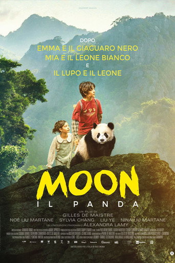 O Menino e o Panda — Pôsteres 17