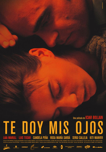 Te doy mis ojos (2003)