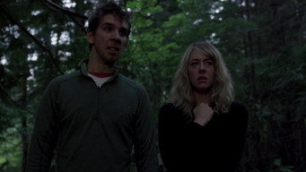 Shadowed (2012)