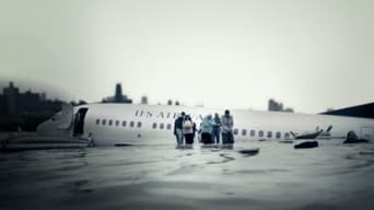 #1 Miracle Landing on the Hudson