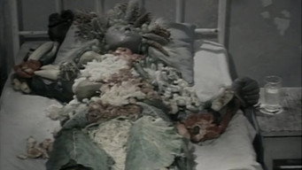 Флора (1989)