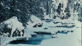 #23 Ice Palace