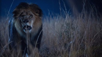 ZOO-暴走地区- - Season 3 Episode 9 (2015) 予告編