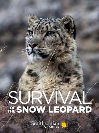 Survival Of The Snow Leopard image