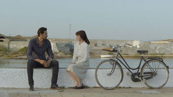 Episode 7 — Episode 7