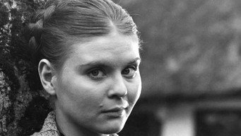 Tine (1964)