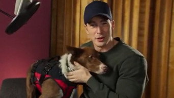 Superpower Dogs (2019)