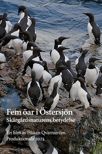 Fem &ouml;ar i &Ouml;stersj&ouml;n (1970)