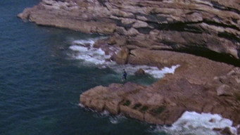 #9 Stunt Rock