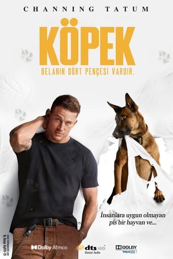 Köpek ( Dog )