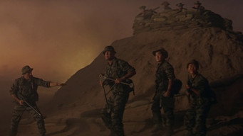 #13 The Green Berets