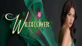 Wildflower (2017-2018)