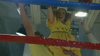 Episode 26 — Episode 26