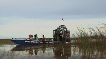 The Everglades Killings (2016)