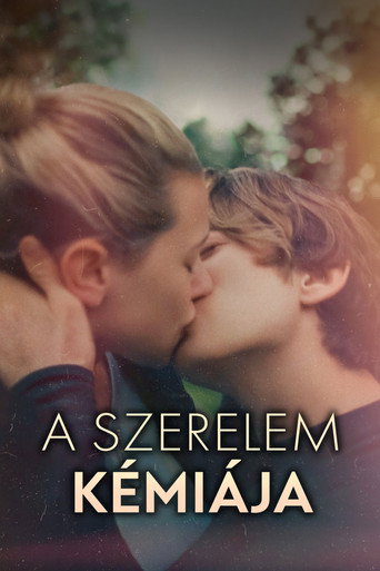 A szerelem kémiája plakát