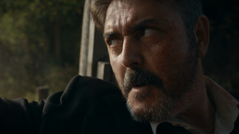 Defne media image