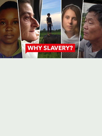 WHY SLAVERY? poster