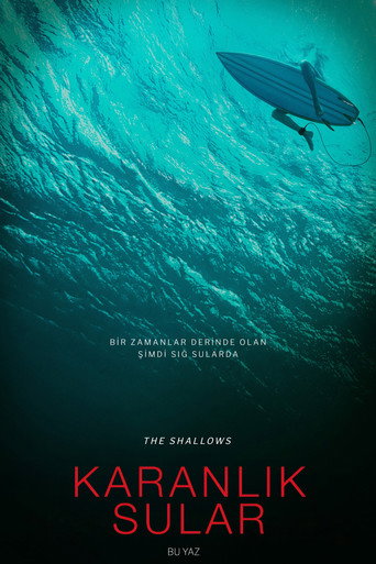 Poster 4
