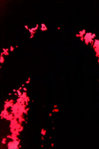 1975 Sketches poster