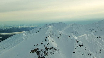 Surviving Alaska