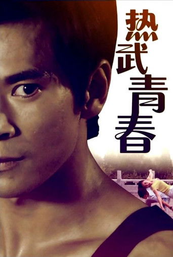 热武青春 poster