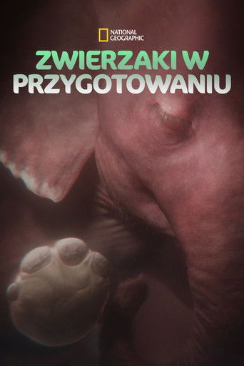 In the Womb: Animal Babies