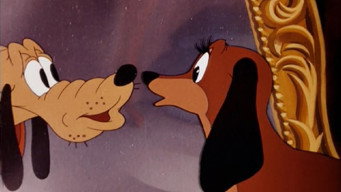 Canine Casanova (1945)