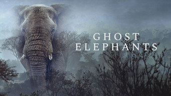 #13 Ghost Elephants
