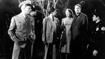 Plan 9 from Outer Space backdrop 5