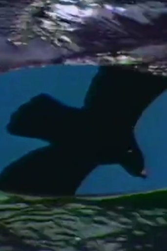 PAL or Never The Same Color