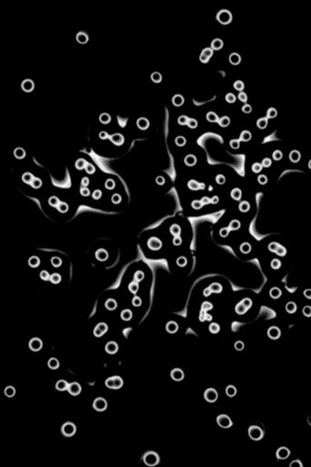 Notes from the subsurface poster