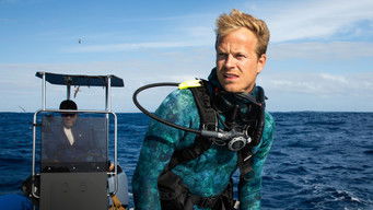 Galeria 3 - Delfines en primer plano con Bertie Gregory