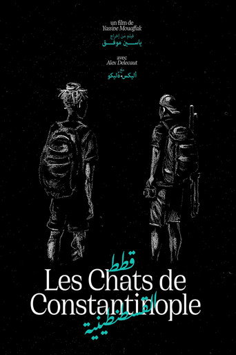 Les Chats de Constantinople (2025)