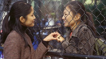 Рятуючи обличчя (2004)