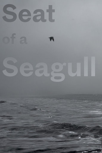Seat of a Seagull
