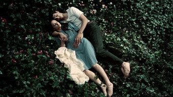 #8 Fragile as the World
