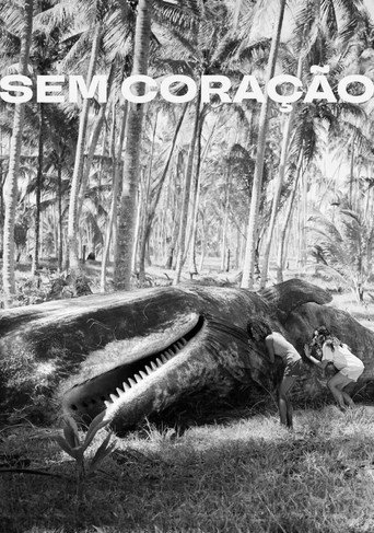 Sem Coração