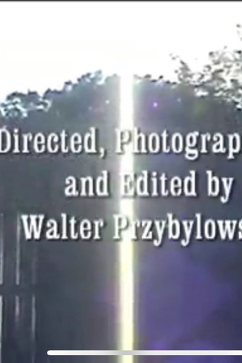 The Squirrel’s Dilemma poster