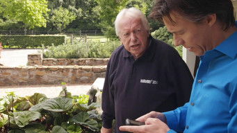 Episode 1 — Episode 1