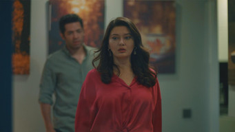 Aflevering 31 — Episode 31