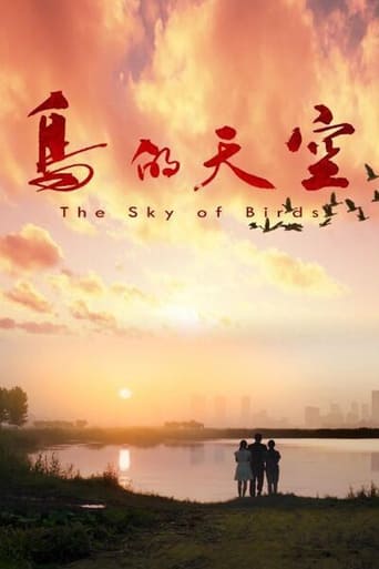 Poster of The Sky of Birds