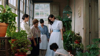 #8 Abraham's Valley