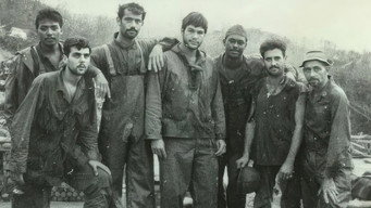 Last Year in Viet Nam (1971)