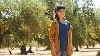 #6 The Olive Tree